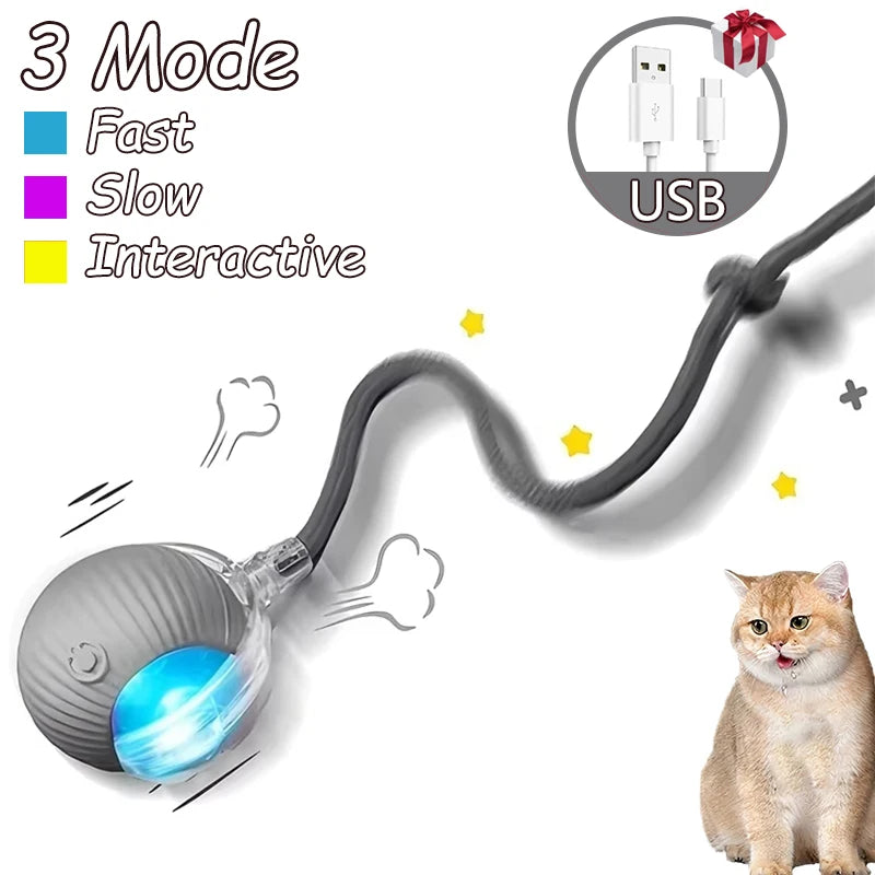 2Pcs Cat Interactive Ball