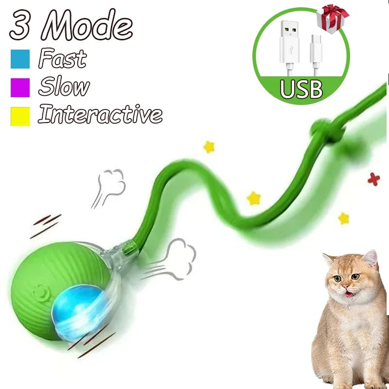 2Pcs Cat Interactive Ball