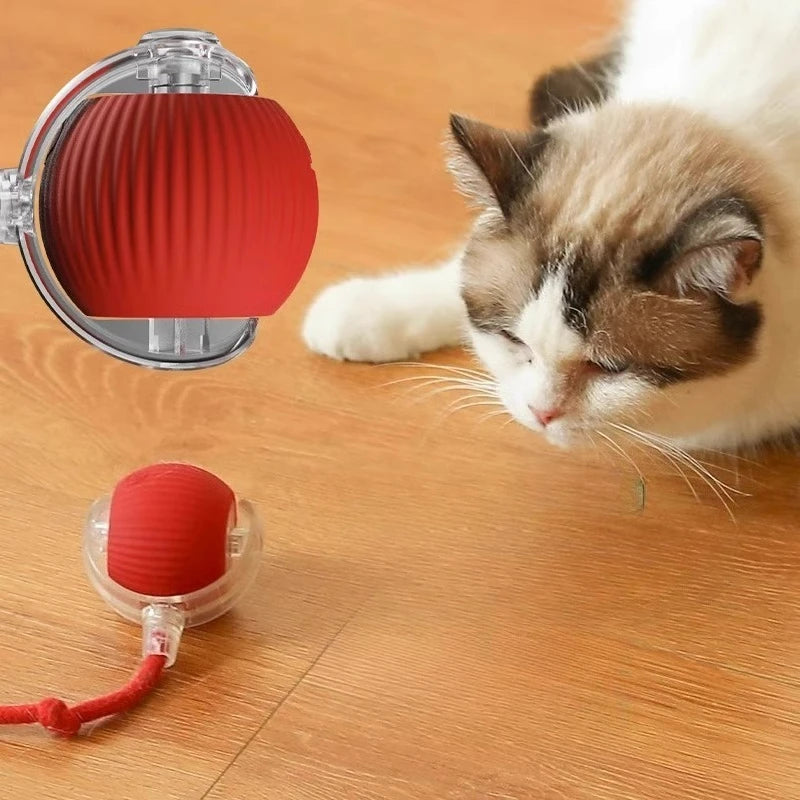 Dog and cat toy ball with rope