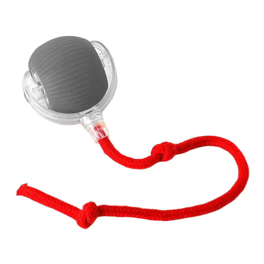 2PC/1PC Cat Interactive Ball