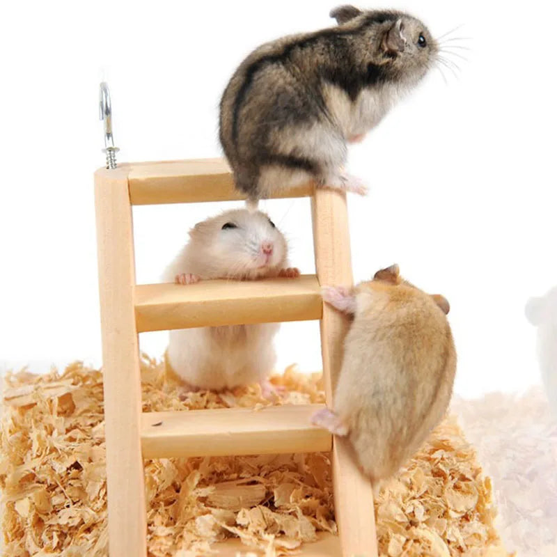 Hamster Natural Wood Climbing Ladder