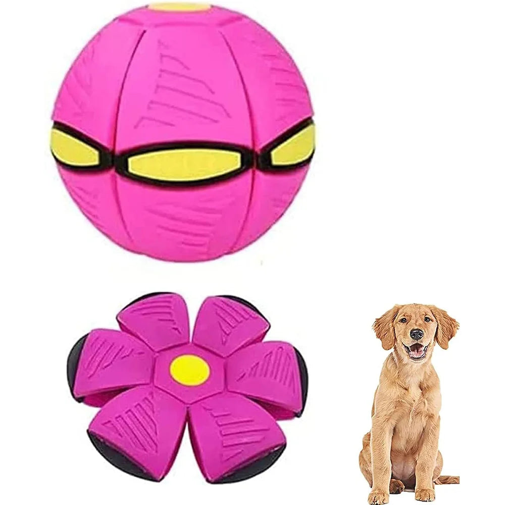 Indestructible Flying Saucer for Aggressive Dog Chewers