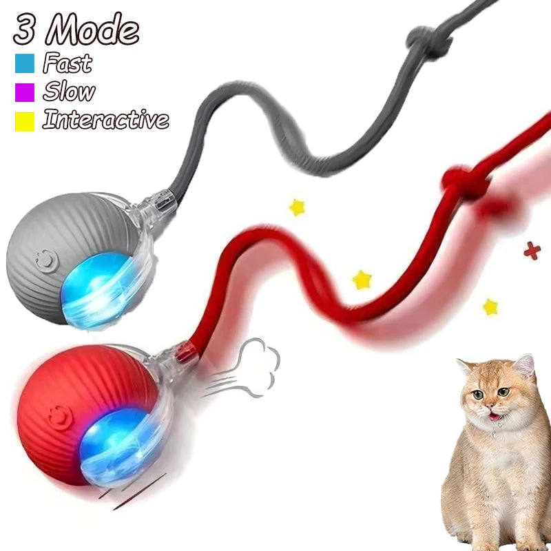 2Pcs Cat Interactive Ball