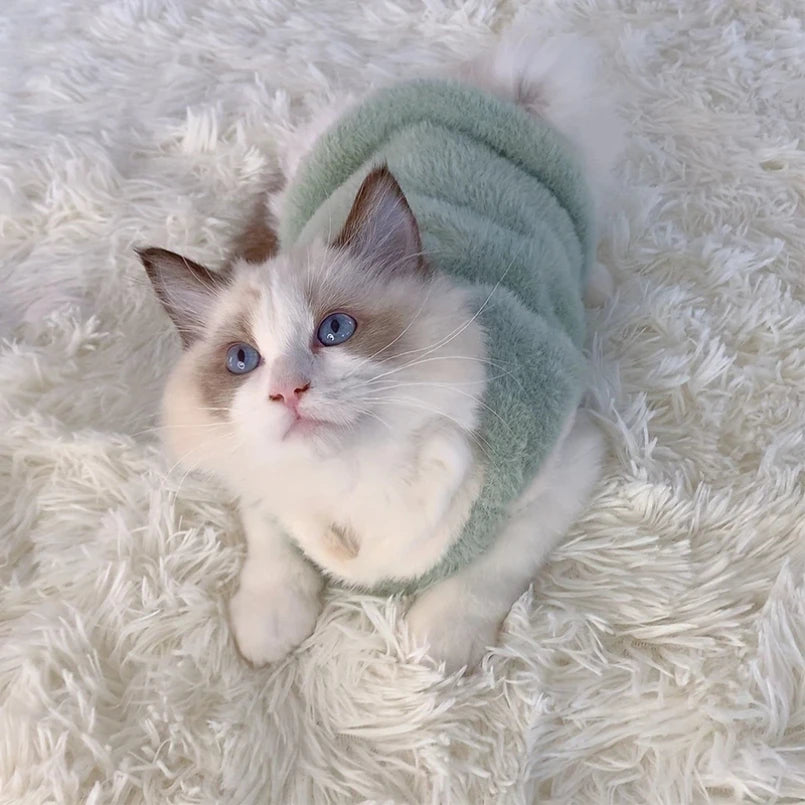 Warm Cat Clothes For Winter